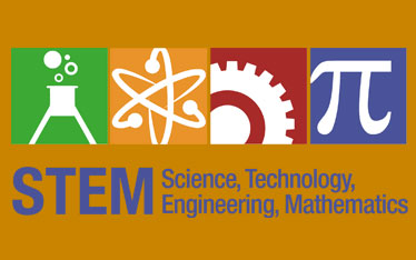 stem